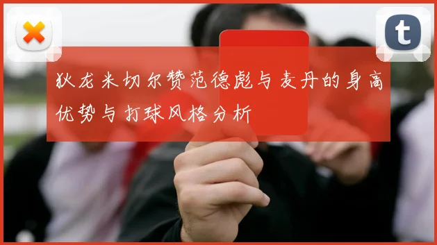 狄龙米切尔赞范德彪与麦丹的身高优势与打球风格分析